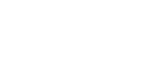 DLT Germany