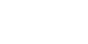FinTech Consult